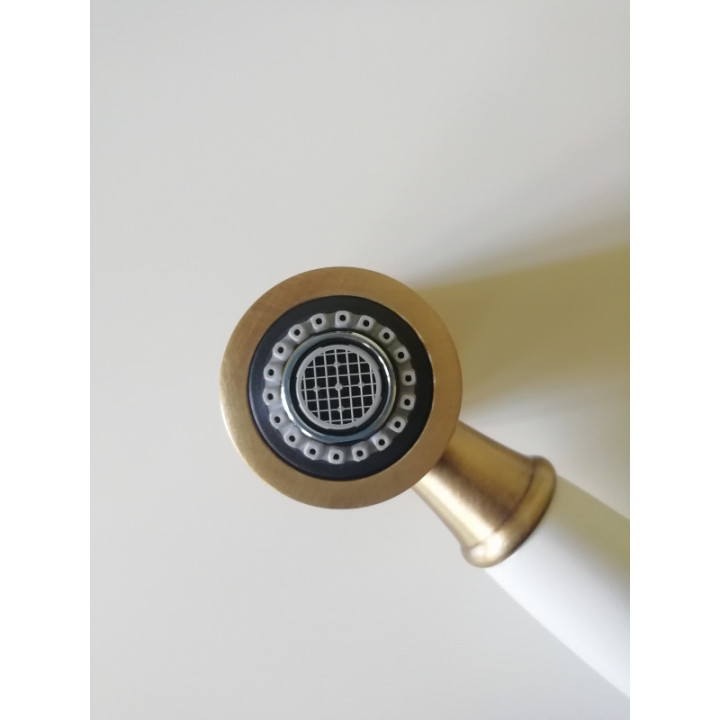 Chambord R202 se sprchou Chrom