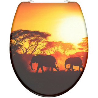 Schütte AFRICA | Duroplast, Soft Close